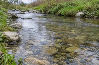Прозрачная вода у берега с видимыми под водой камнями