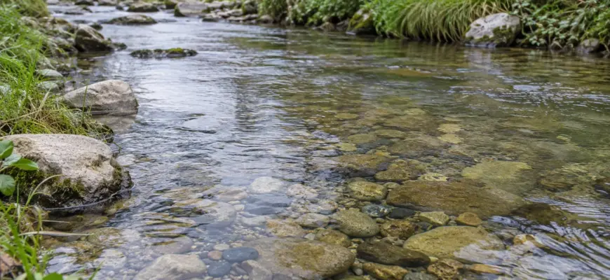 Прозрачная вода у берега с видимыми под водой камнями
